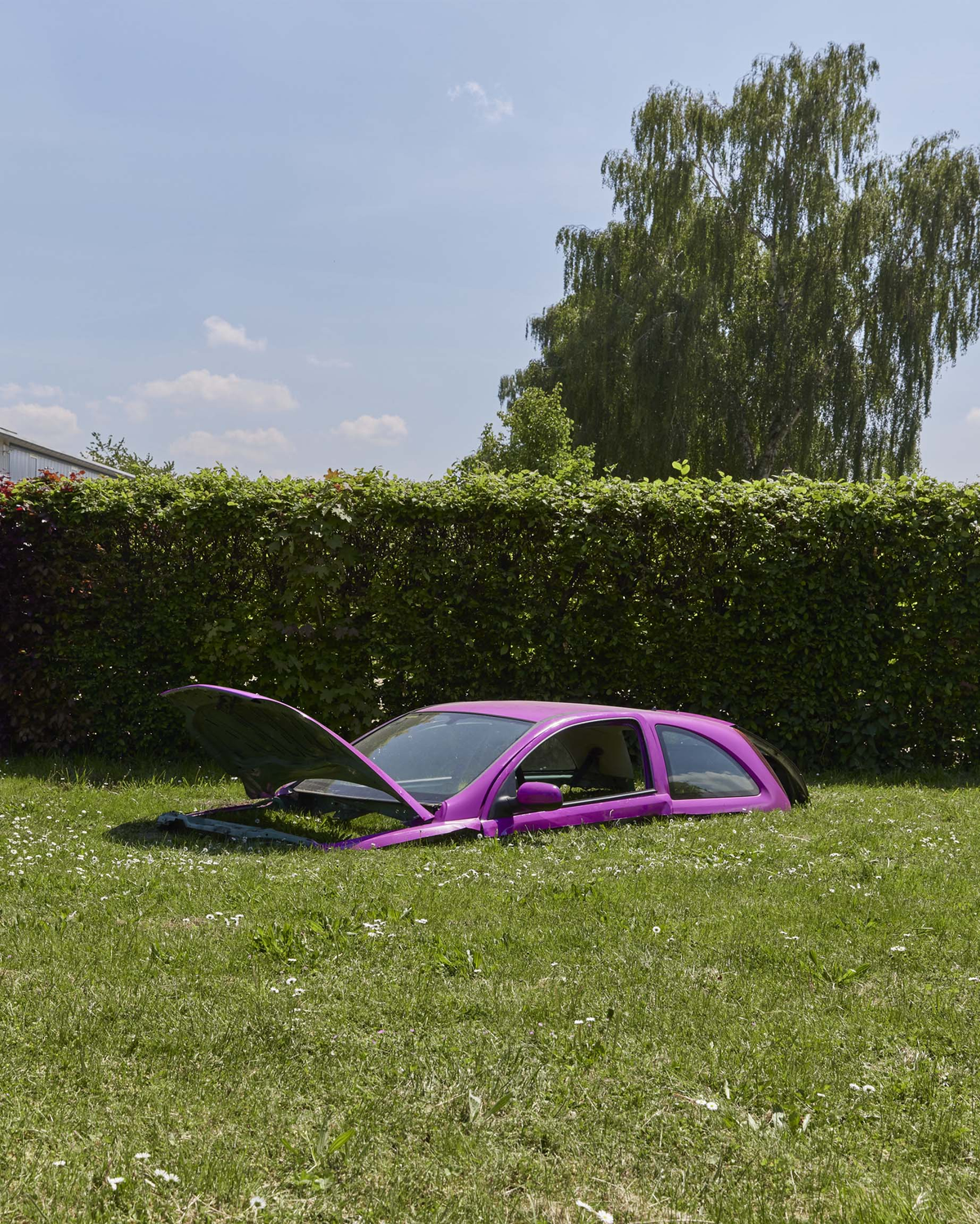 Das eingegrabene pinke Auto hinter einer Hecke, im Hintergrund Wohnbebauung.