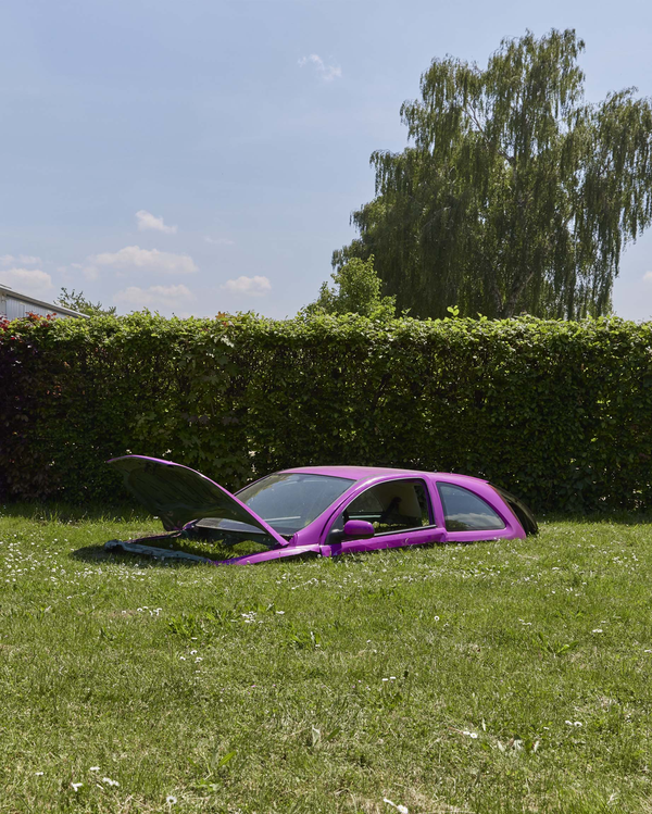 Das eingegrabene pinke Auto hinter einer Hecke, im Hintergrund Wohnbebauung.